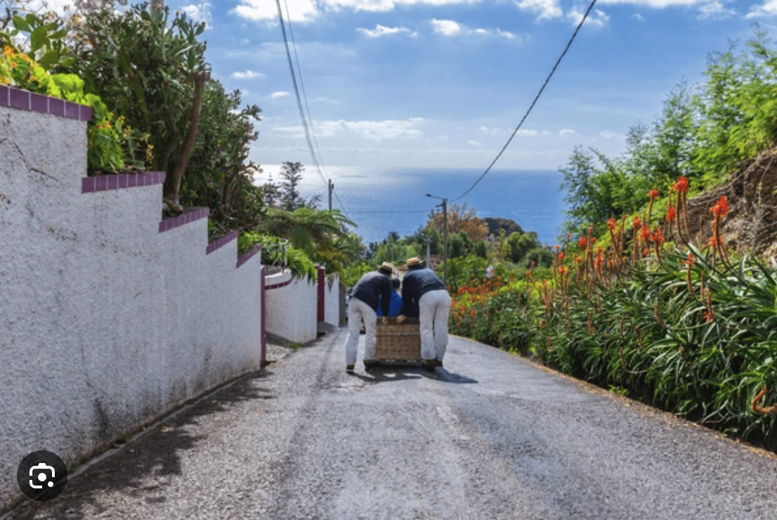Basket Carts Route Basket Carts Route - Image 3