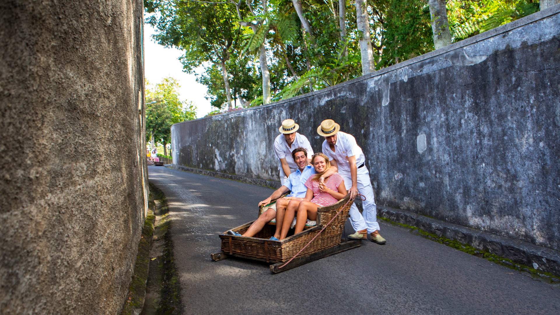 Basket Carts Route Basket Carts Route