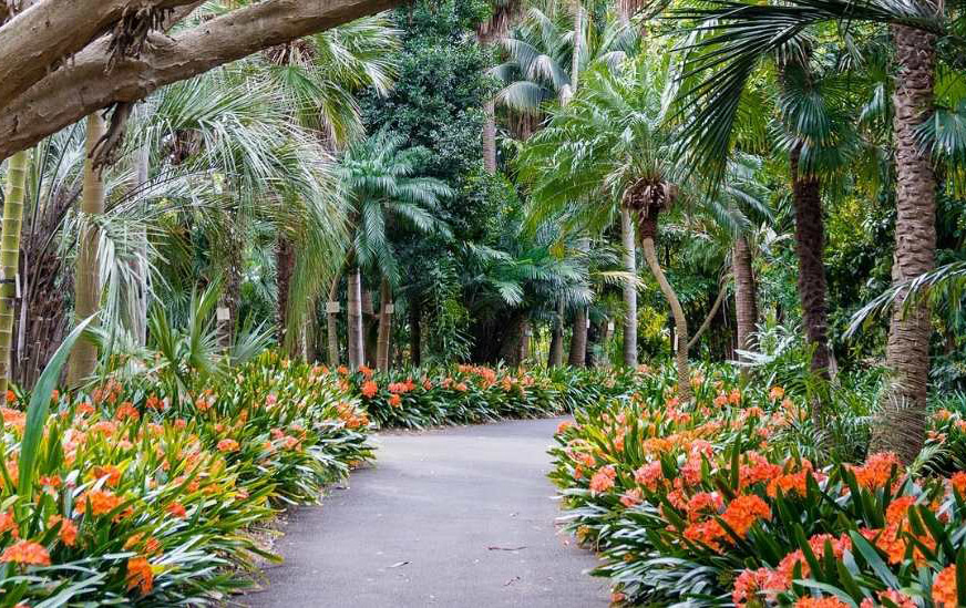 Botanical Garden - Image 2