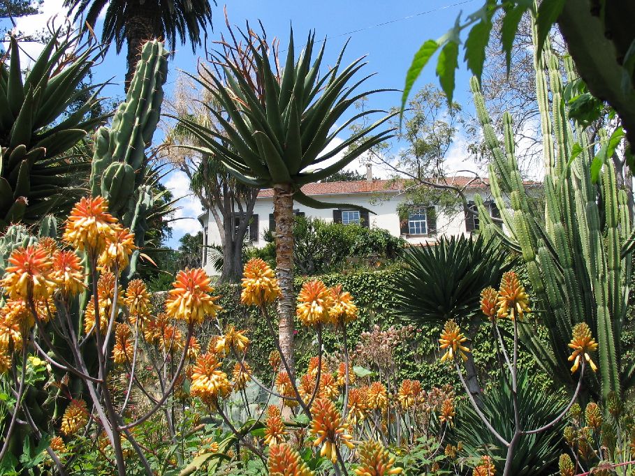 Botanical Garden - Image 3