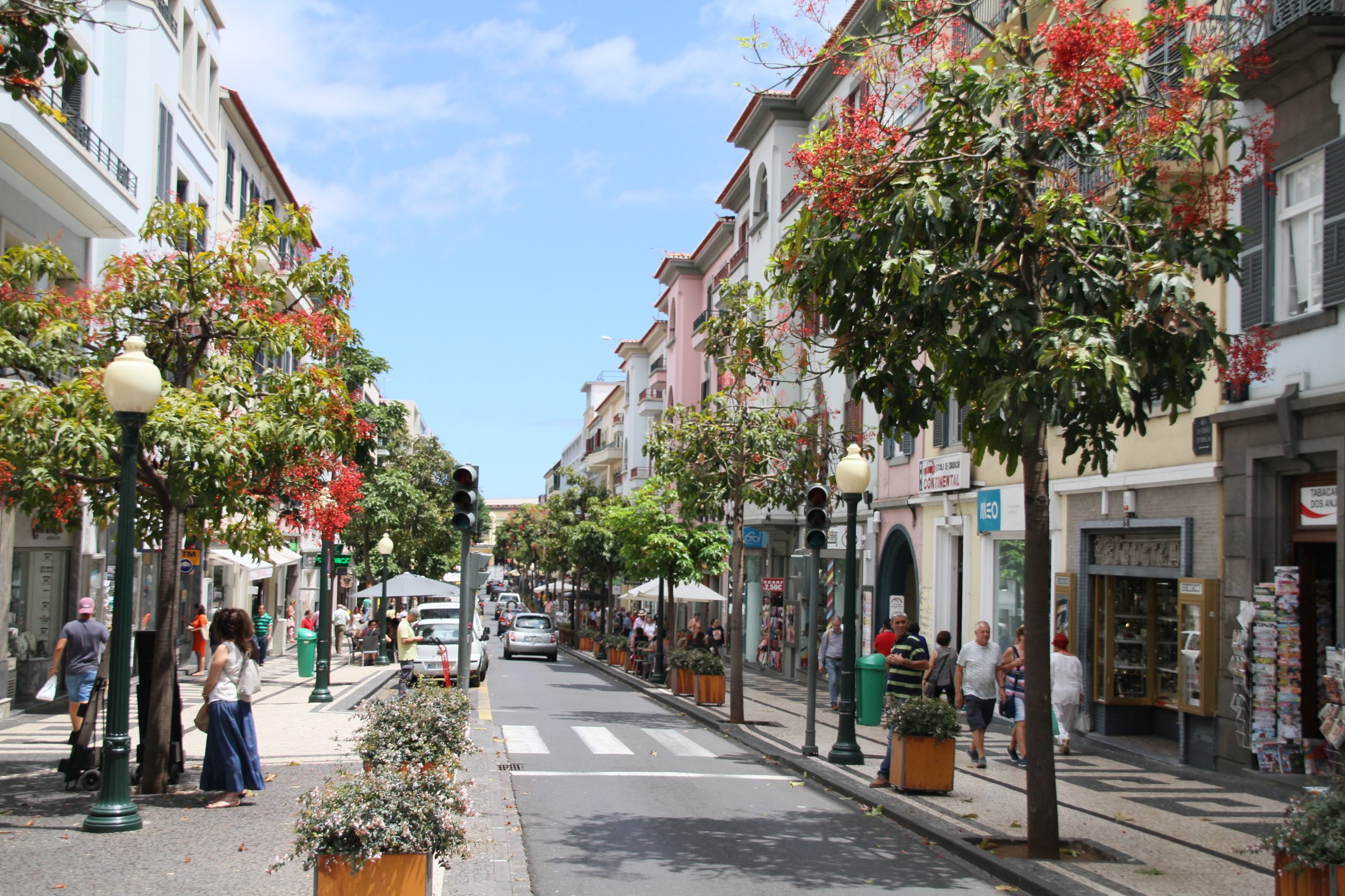 Dr. Fernão de Ornelas Street - Image 3